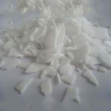 ����������������